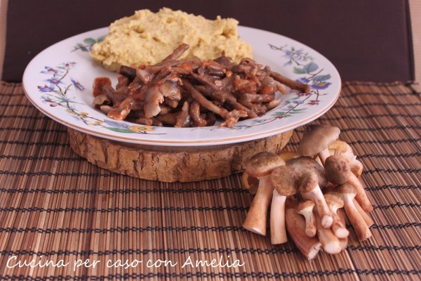 Funghi chiodini in umido, ricetta | Cucina per caso con Amelia
