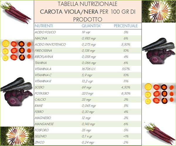 tabella-carota viola