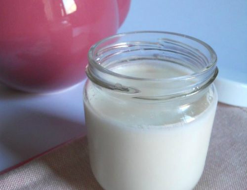 Yogurt homemade con yogurtiera