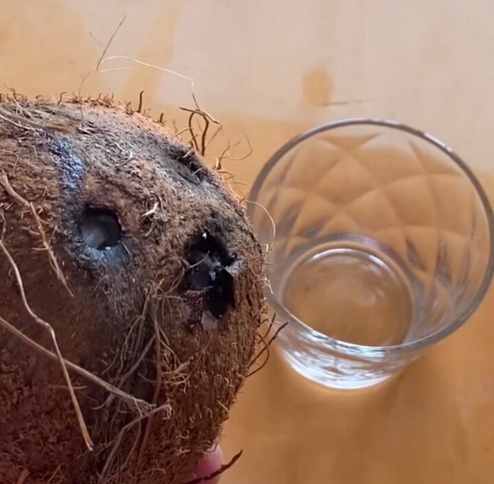 Versa l'acqua di cocco