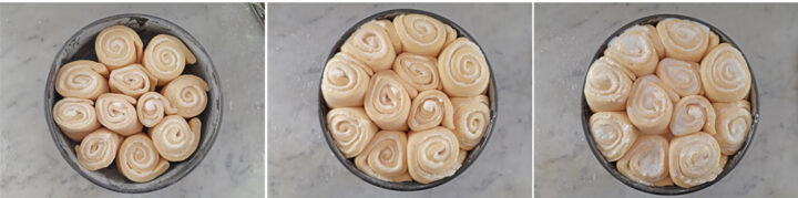 Torta delle rose ricetta
