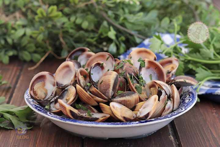 Vongole alla pescatora