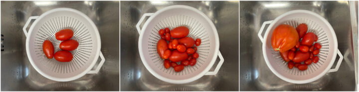 Paccheri alla Vittorio 