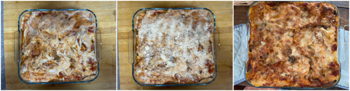 Lasagne di pane carasau