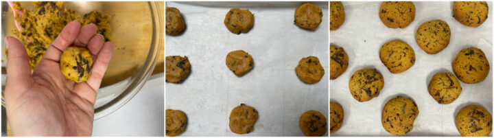Cookies alla zucca