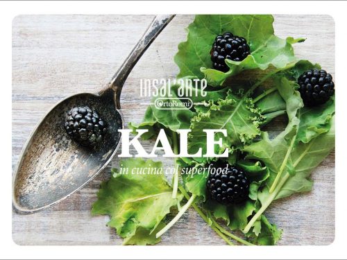 Ricettario Kale di Insal’Arte OrtoRomi