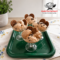 Sorbetto al Caffè Cremoso: Ricetta Facile e Rinfrescante