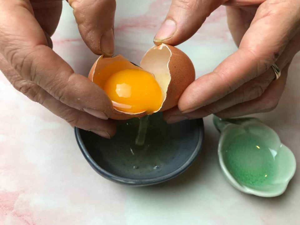 immagine di uovo