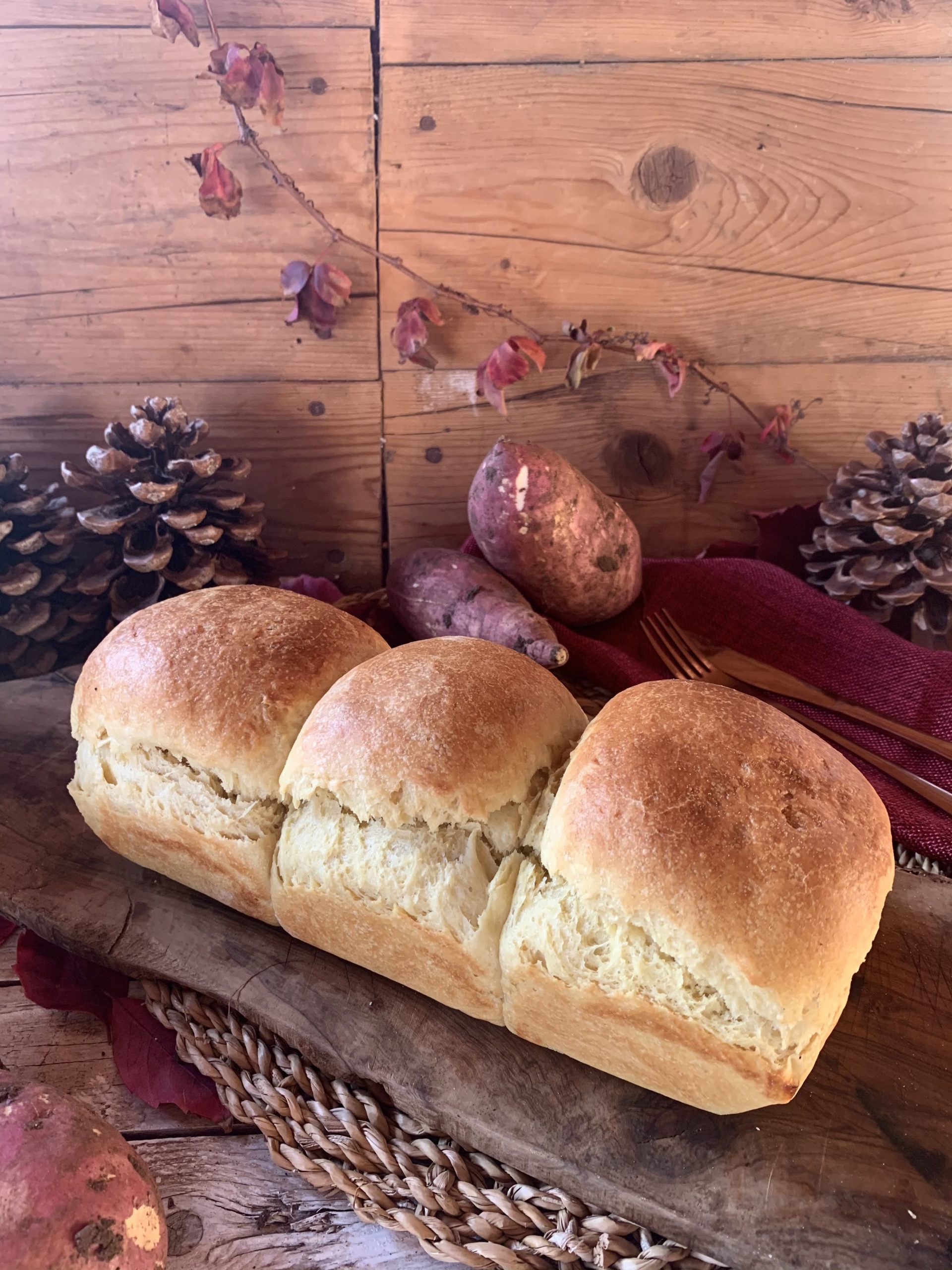 PAN BRIOCHE SUPER MORBIDO CON PATATE DOLCI (AMERICANE) le ricette
