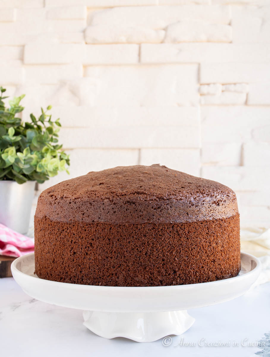 pan di Spagna al cacao