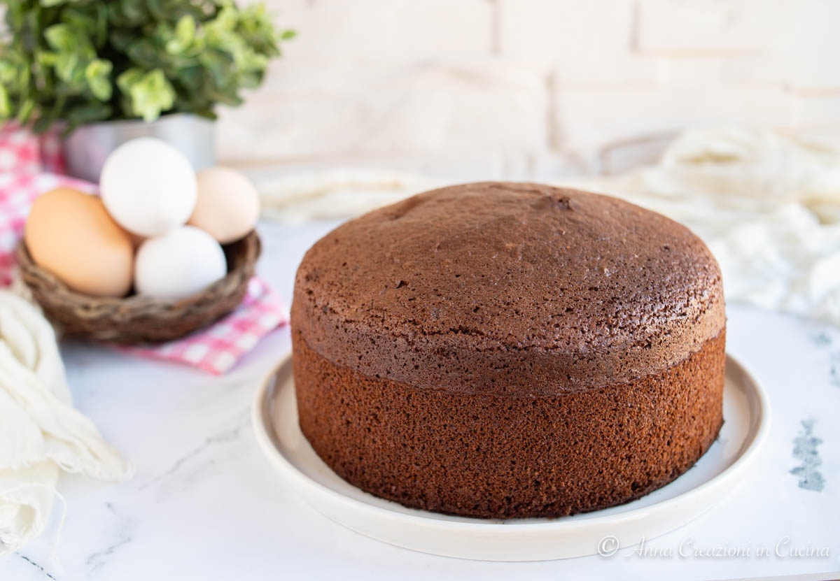 pan di Spagna al cacao