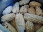 Pannocchie di mais al naturale