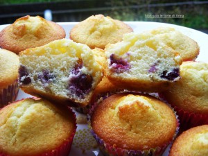 muffin-ai-mirtilli