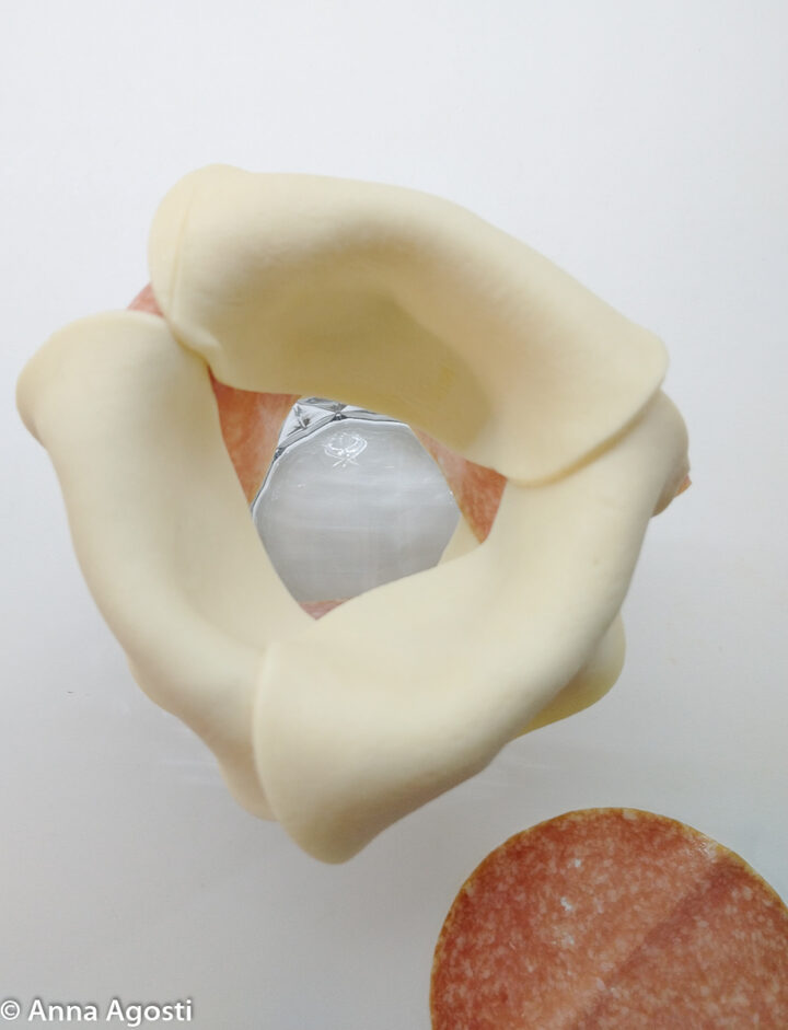 Rose di sfoglia e salame