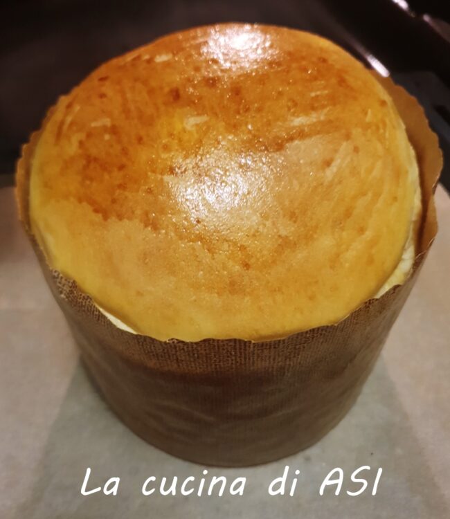 panettone gastronomico appena cotto intero