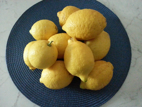marmellata limoni2 mia