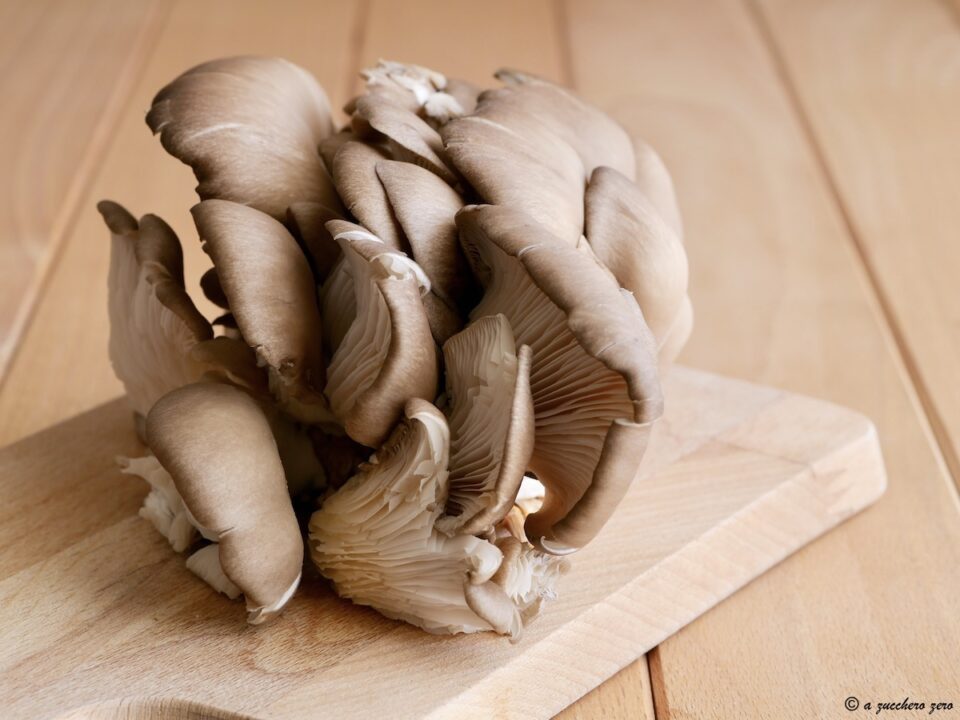 Funghi pleurotus