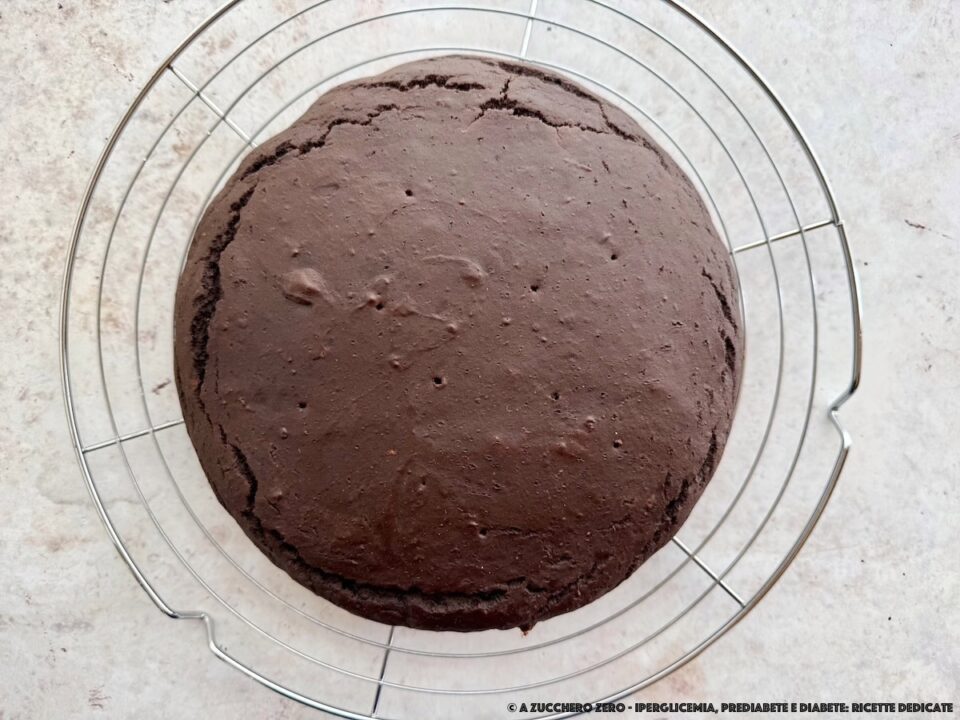 Torta al cacao | a basso indice glicemico