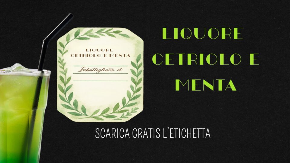 Ricetta Liquore cetriolo e menta