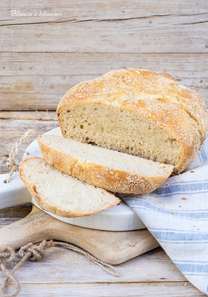 Pane senza impasto o no knead bread