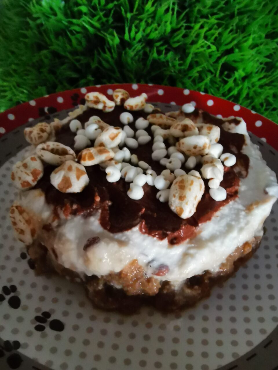 Dettaglio ravvicinato di una cheesecake monoporzione leggera alla ricotta con cremina al cacao e farro soffiato, BriCciola