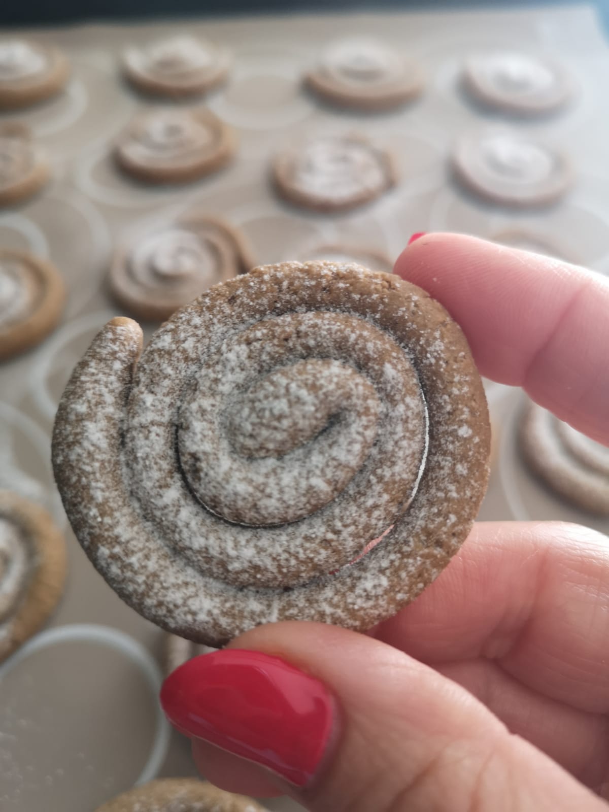 Biscotto a spirale al caffè e cannella con zucchero a velo, ricetta dei biscotti al caffè facili e veloci BriCciola