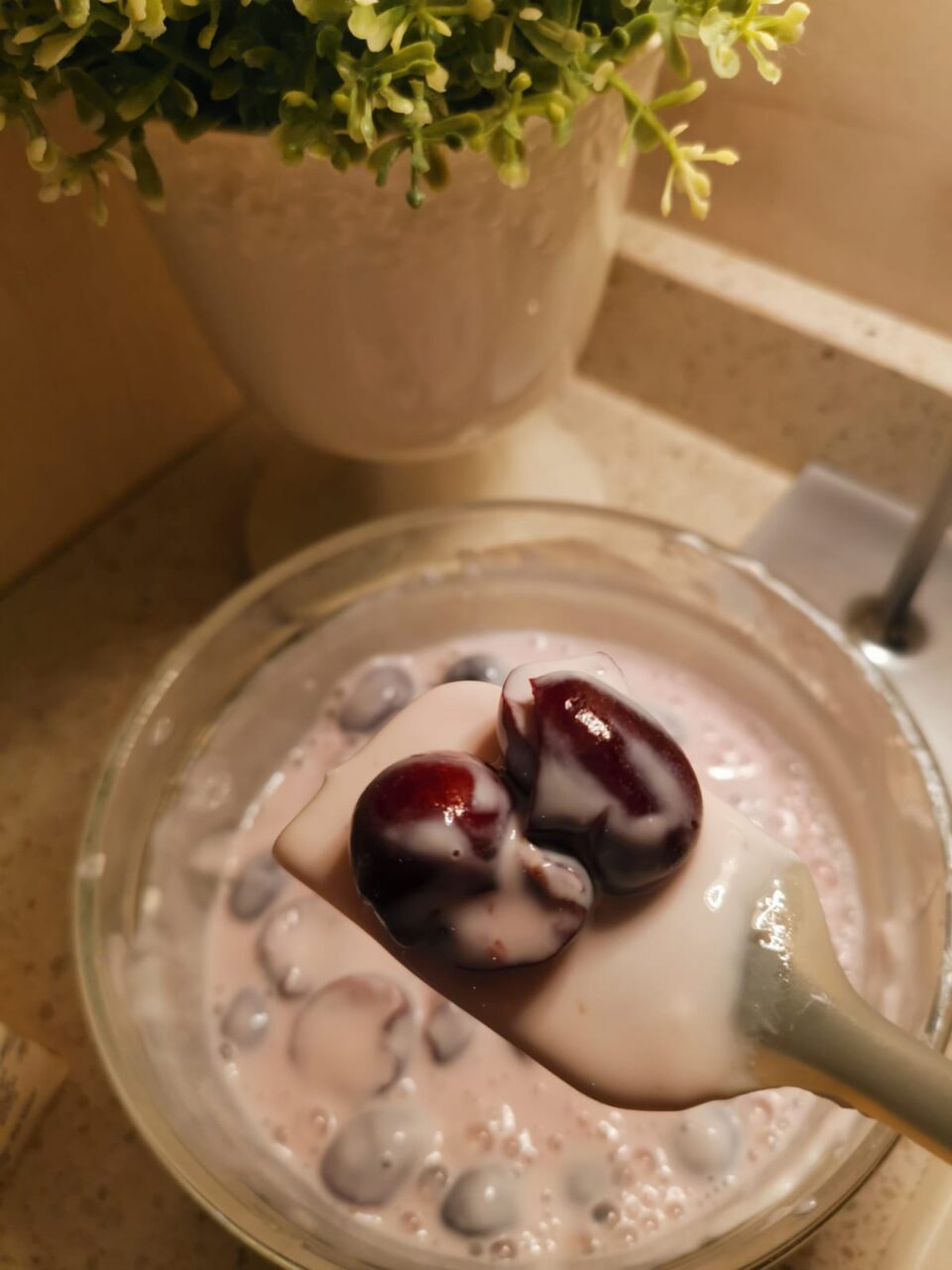 Ciotola con la base cremosa di porridge freddo allo yogurt e ciliegie intere