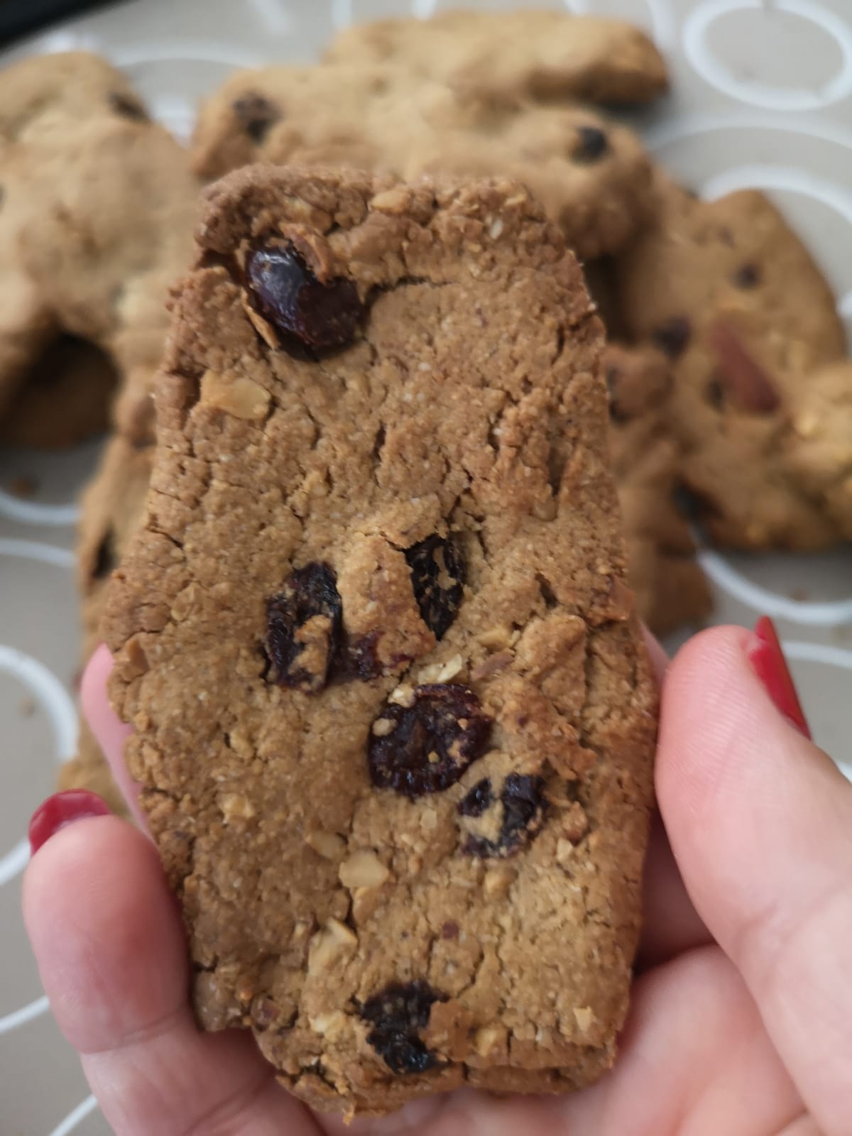 Mano che tiene un biscotto d'avena rustico con uvetta, mandorle e nocciole dorato al forno