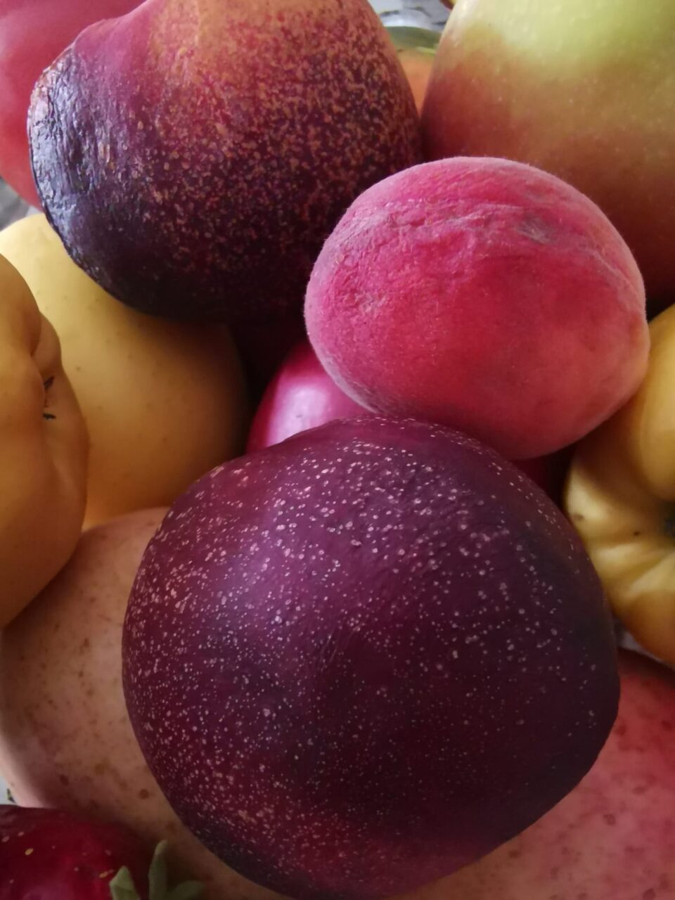 Un primo piano di pesche nettarine gialle e rosse mature e vellutate, appena raccolte e pronte per essere usate nella ricetta.