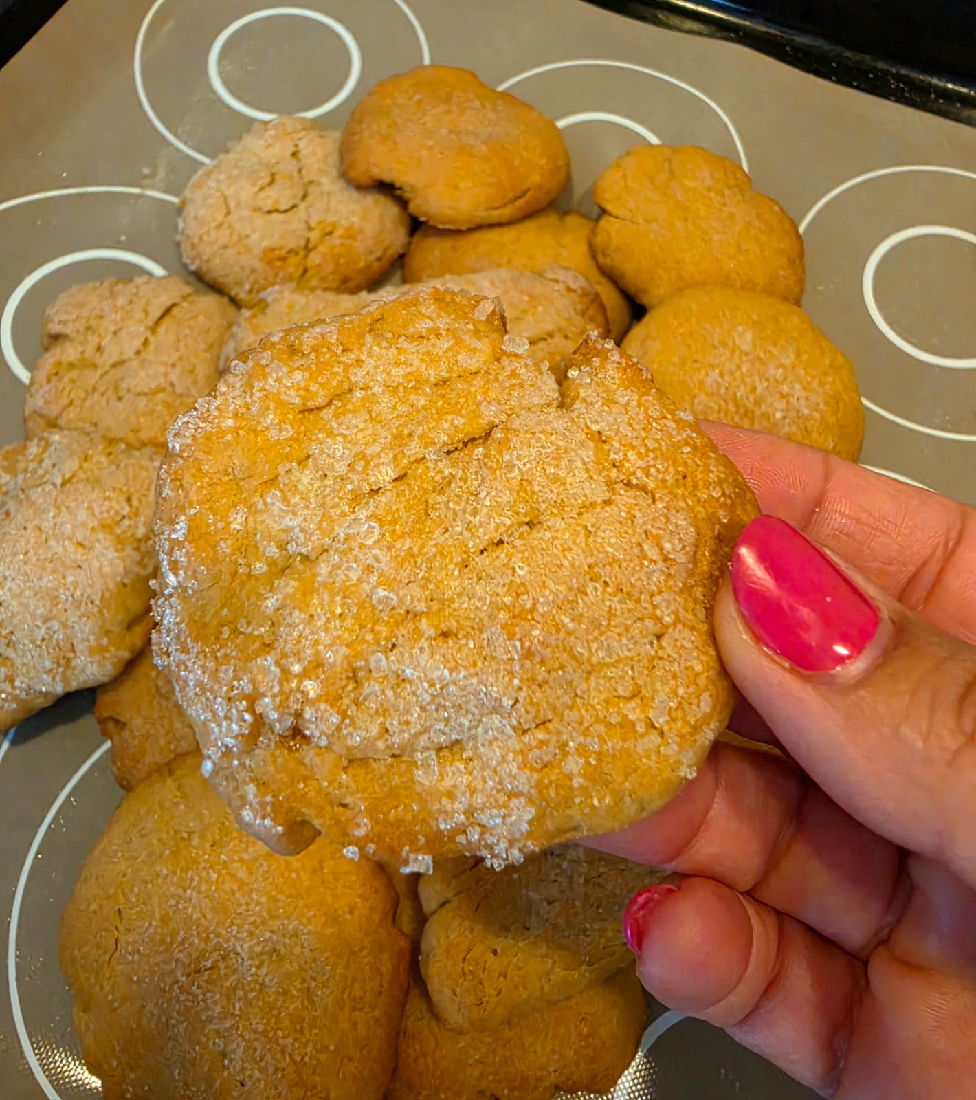 Mano che mostra un biscotto dorato con superficie croccante di zucchero, preparato con frolla all'olio evo e semi al profumo di limone.