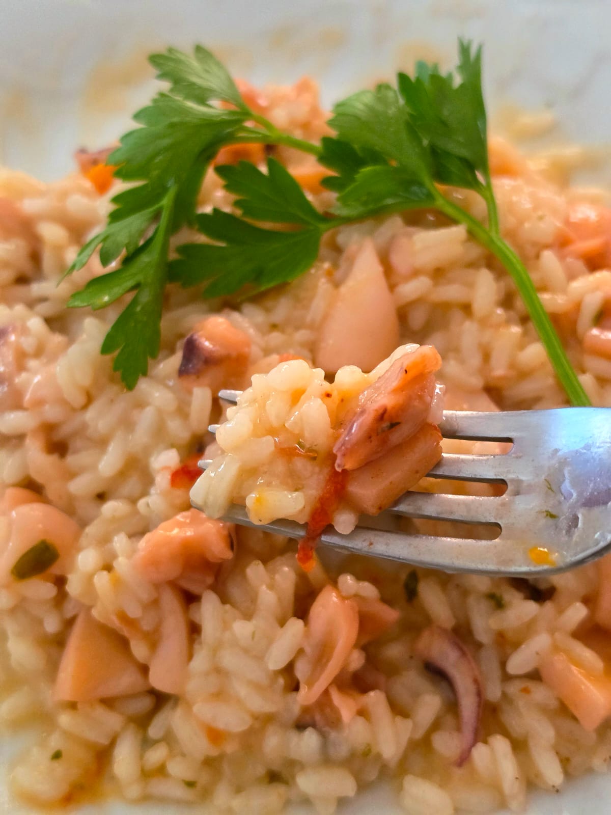 Un piatto di risotto con le seppie morbide e pomodorini piccadilly servito in un piatto bianco decorato.