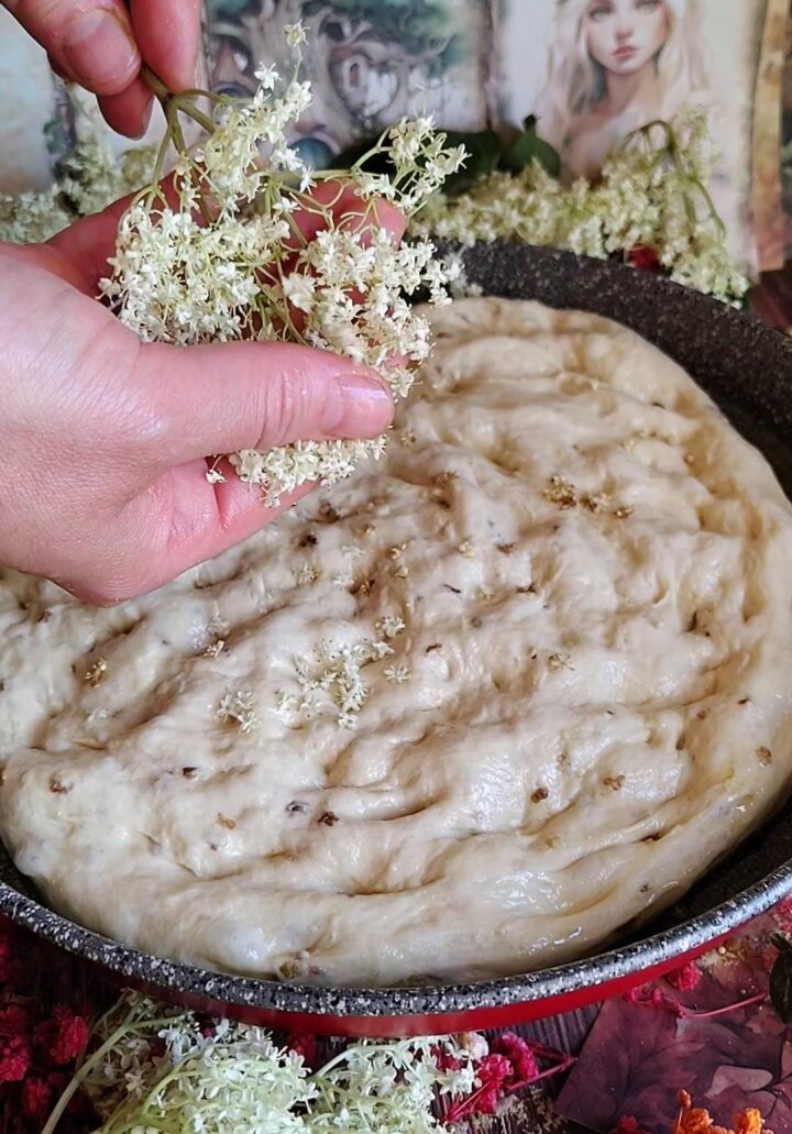 Focaccia con i fiori di sambuco