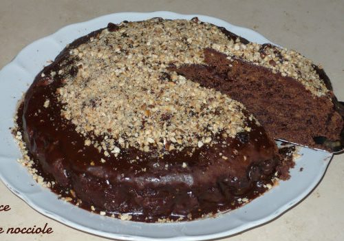 Torta soffice cioccolato e nocciole homemade