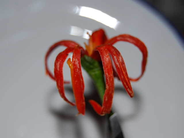 fiore di peperoncino2-Lina