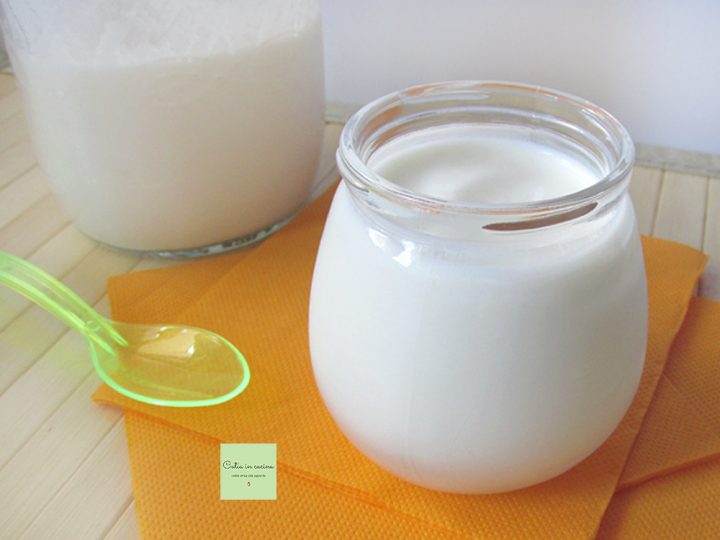 yogurt (kefir) con i fermenti vivi
