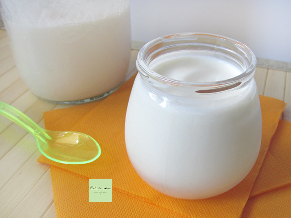 yogurt con i fermenti vivi