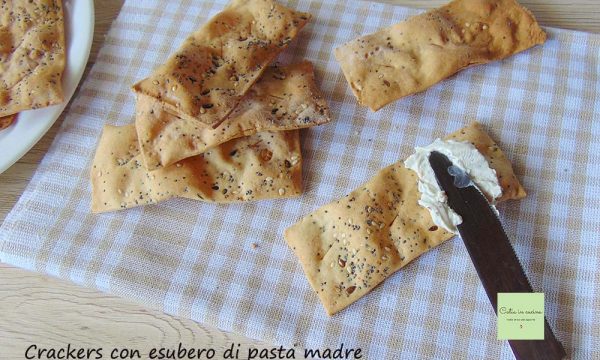 Crackers con esubero di pasta madre