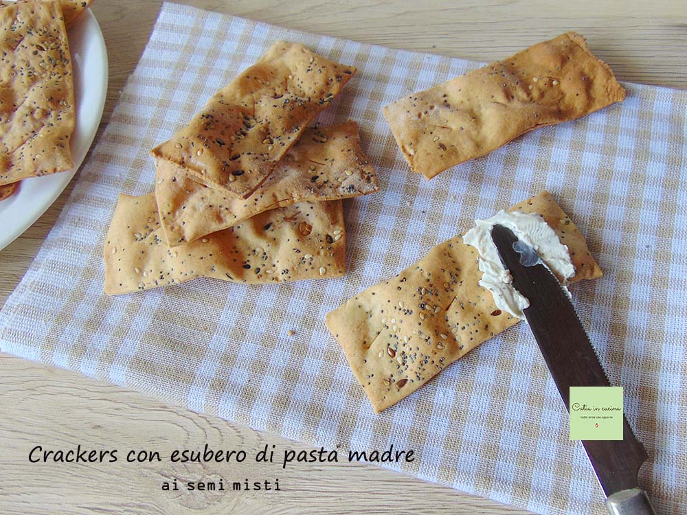 crackers con esubero ai semi misti
