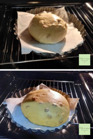 pagnotta romagnola lievitazione nel forno