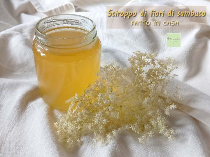 sciroppo di fiori di sambuco fatto in casa