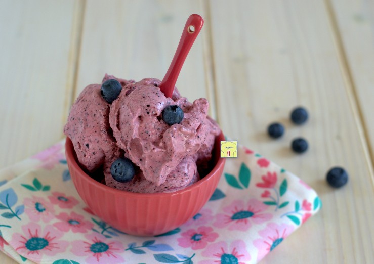 gelato fatto in casa ai mirtilli