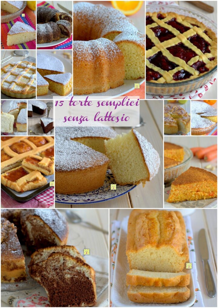 15 torte semplici senza lattosio gp