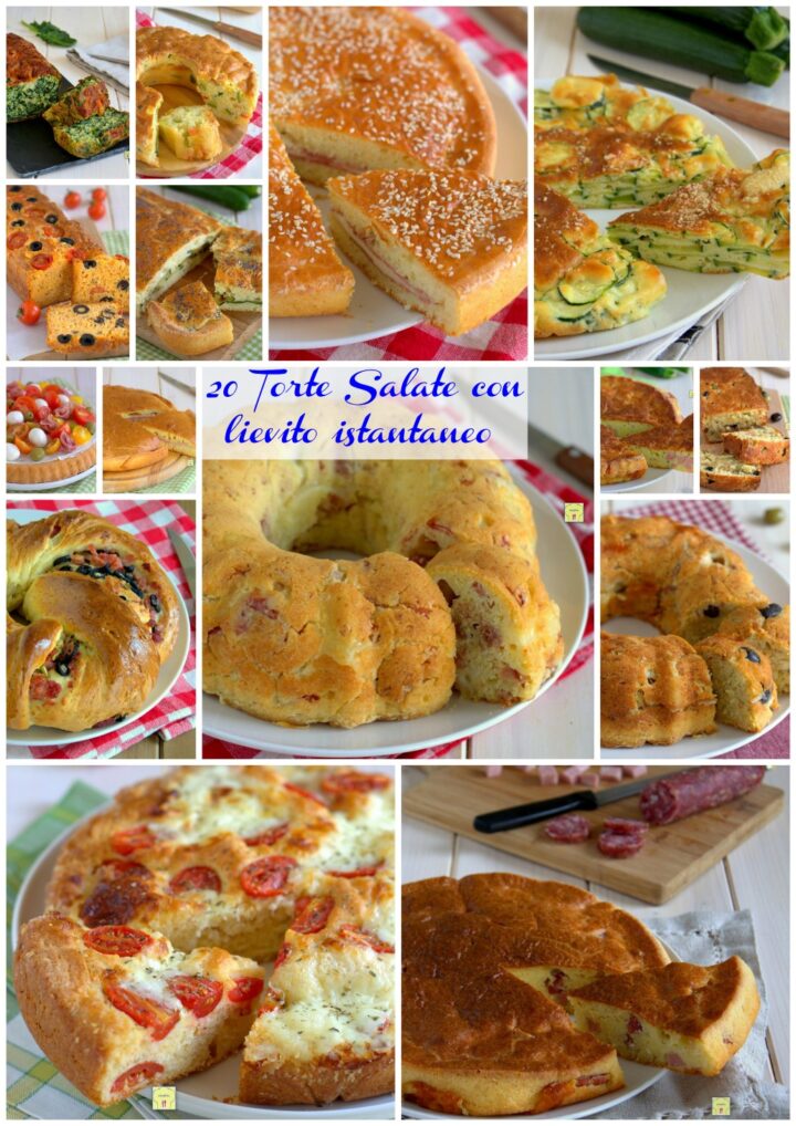 20 Torte Salate con lievito istantaneo gp