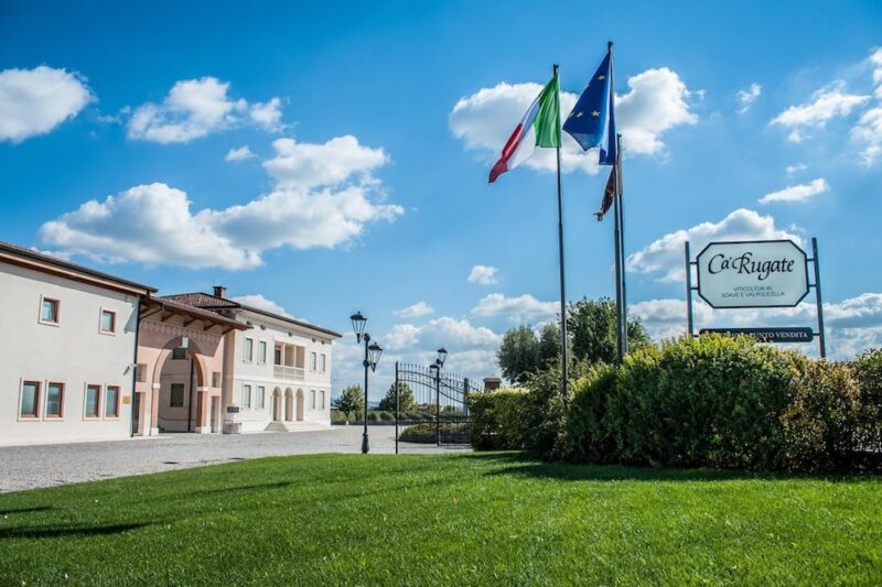Ca’ Rugate e l’olio EVO: il gusto autentico delle colline venete