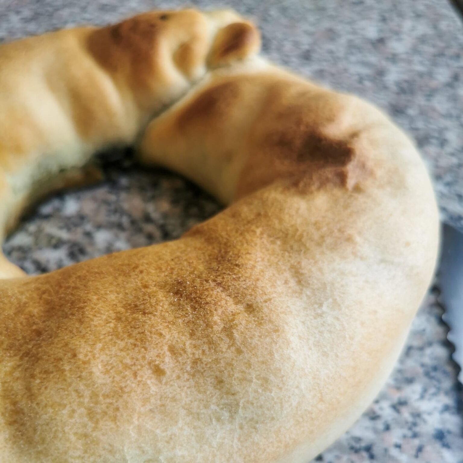 Biscio Umbro Come a casa tua Blog