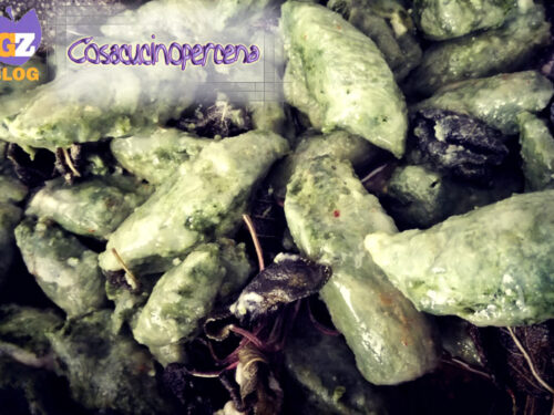 Gnocchi verdi di spinaci