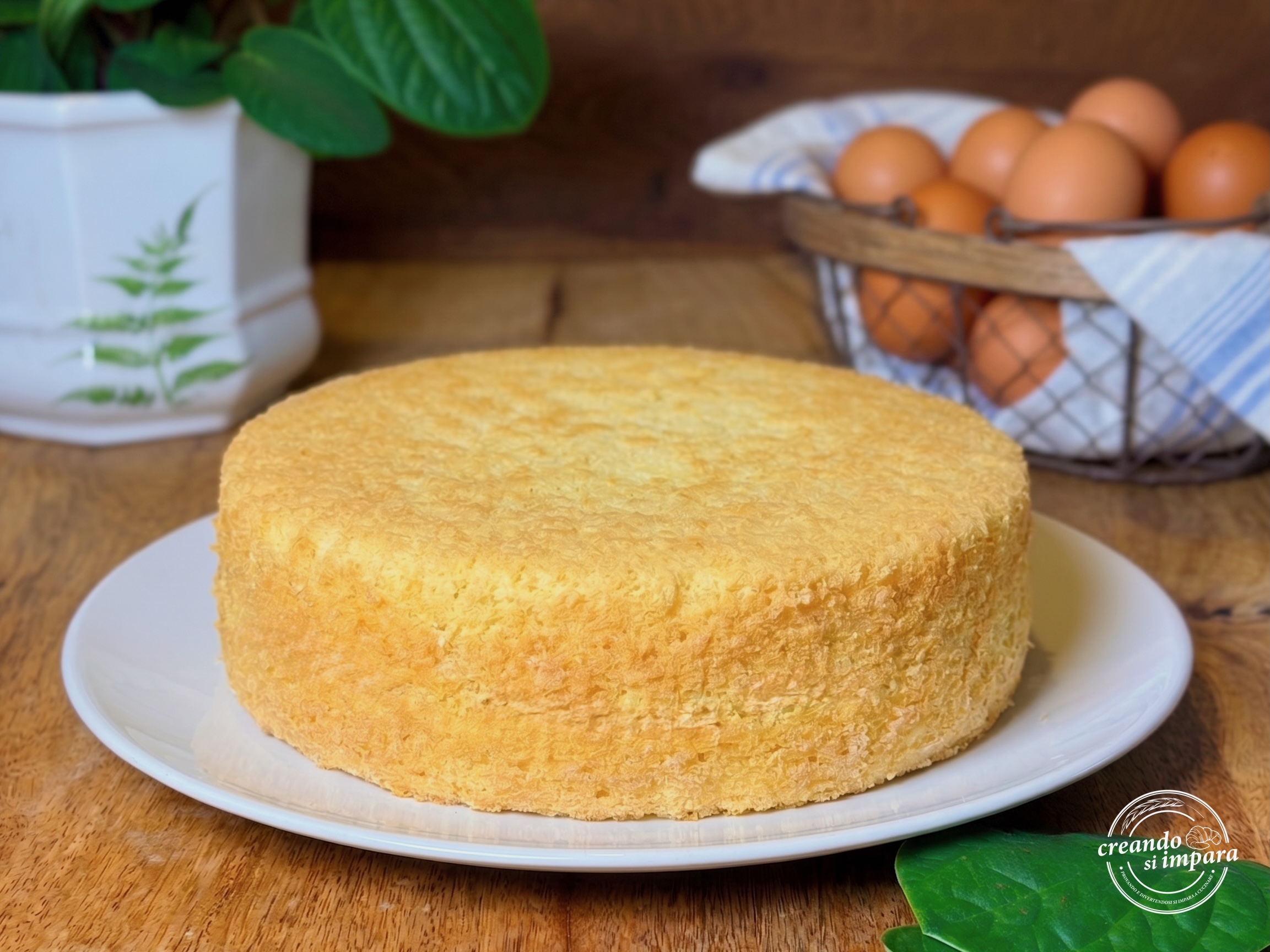 Pan di spagna