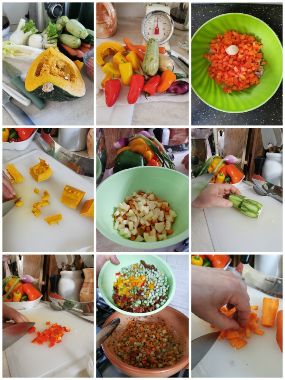 preparazione ragu' di verdure