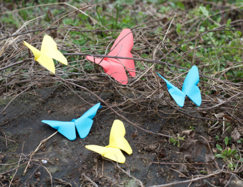 Farfalle in origami, video tutorial
