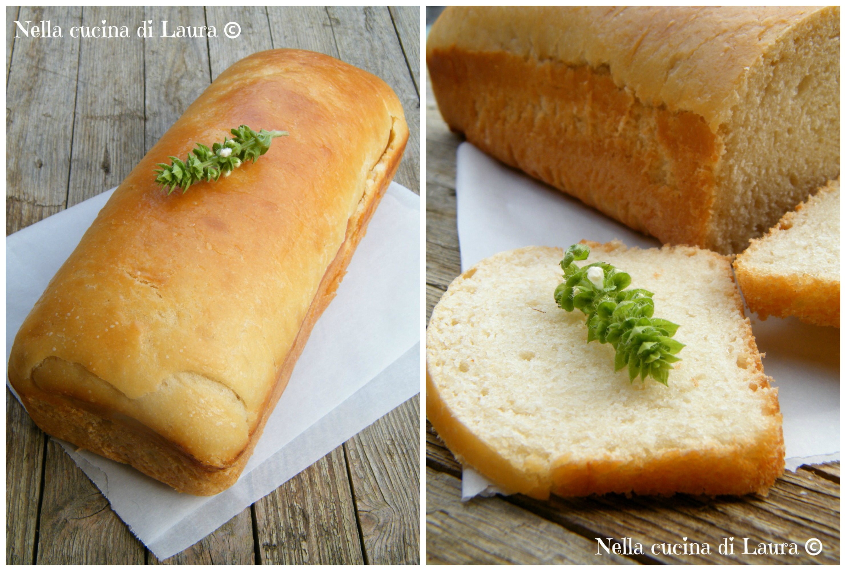 panino grigliato con pane bianco a lievitazione naturale e coppa piacentina - nella cucina di laura